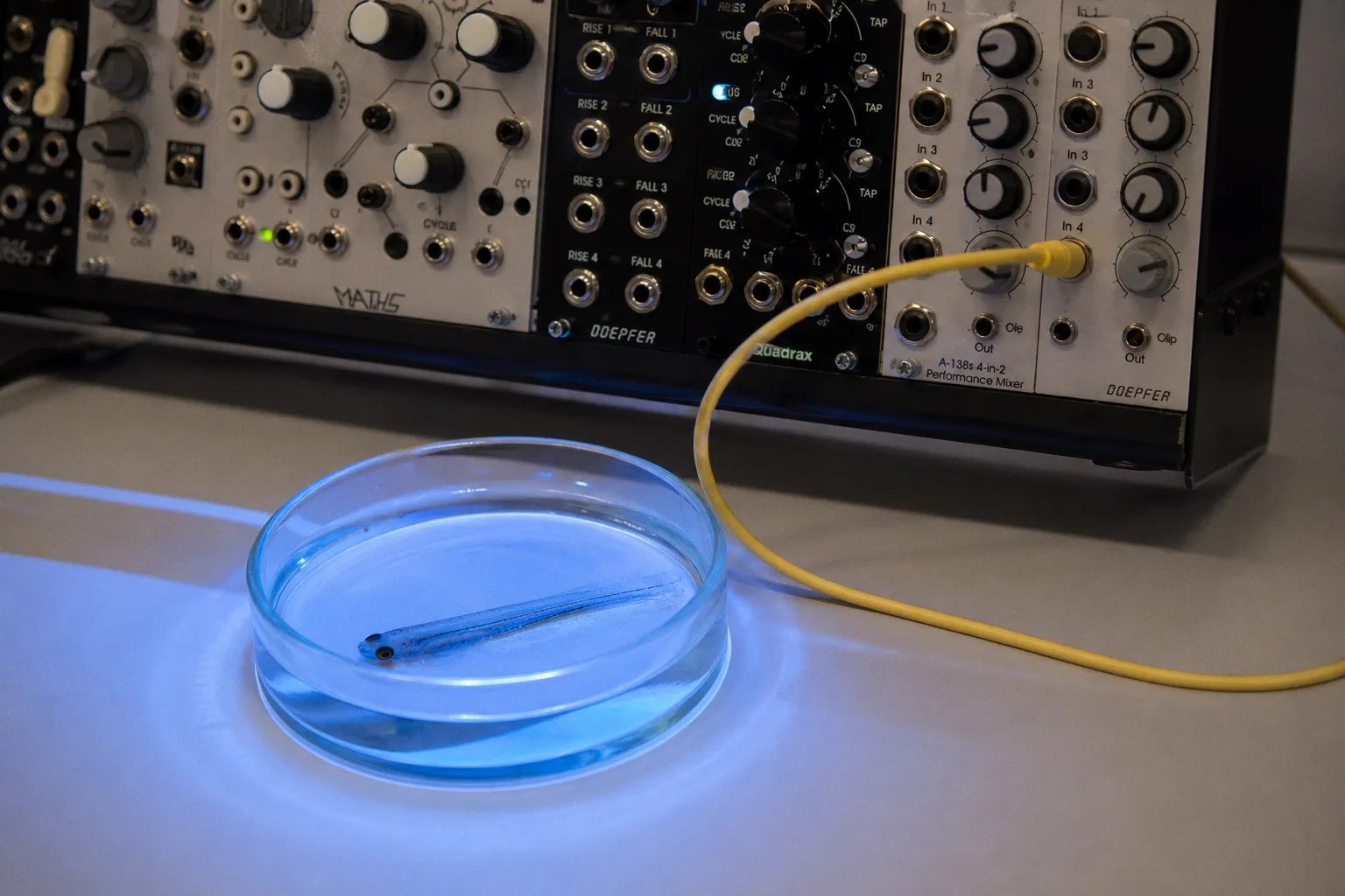 Brain wave music for public science events: a 3-step setup