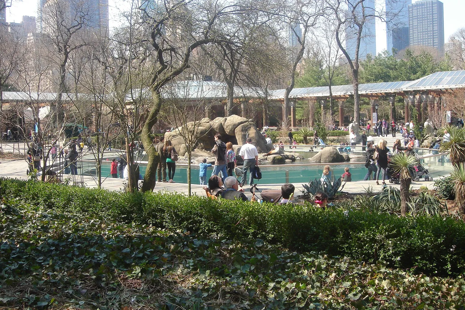 Central Park Zoo tickets: 3 reliable ways to book your entry