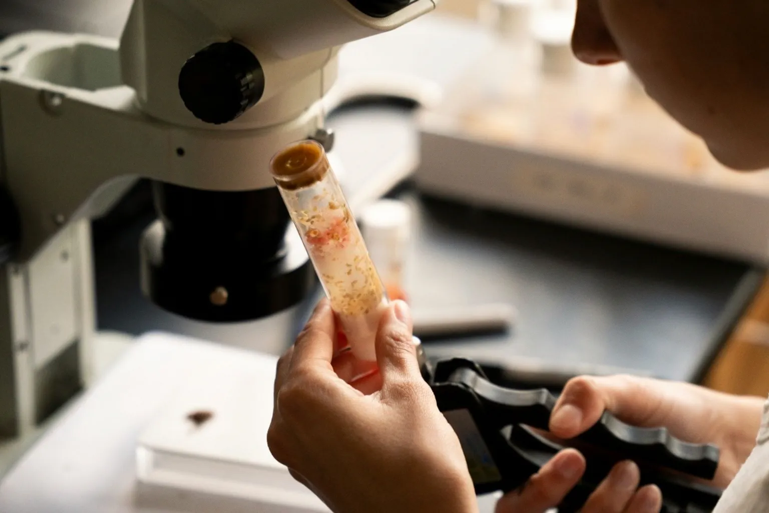 Cultivating Future Neuroscientists Through Intensive Undergraduate Research Rotations