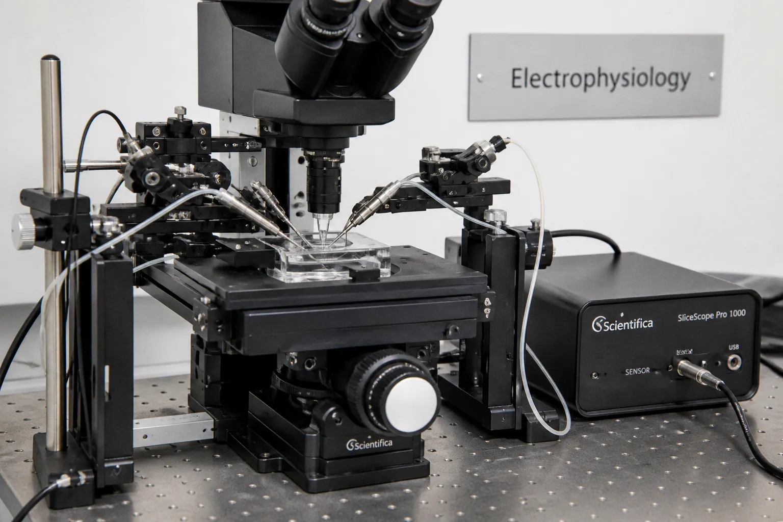 Dynamic Connectivity: How the Frontoparietal Cortex Reconfigures Brain Communication