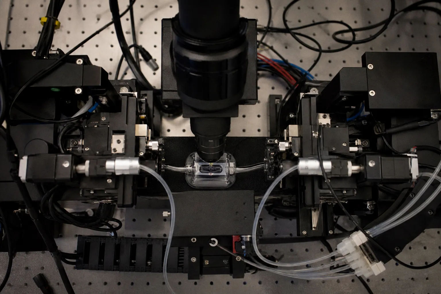 High-Speed 3D Imaging System Maps Seizure Propagation in Zebrafish Brains