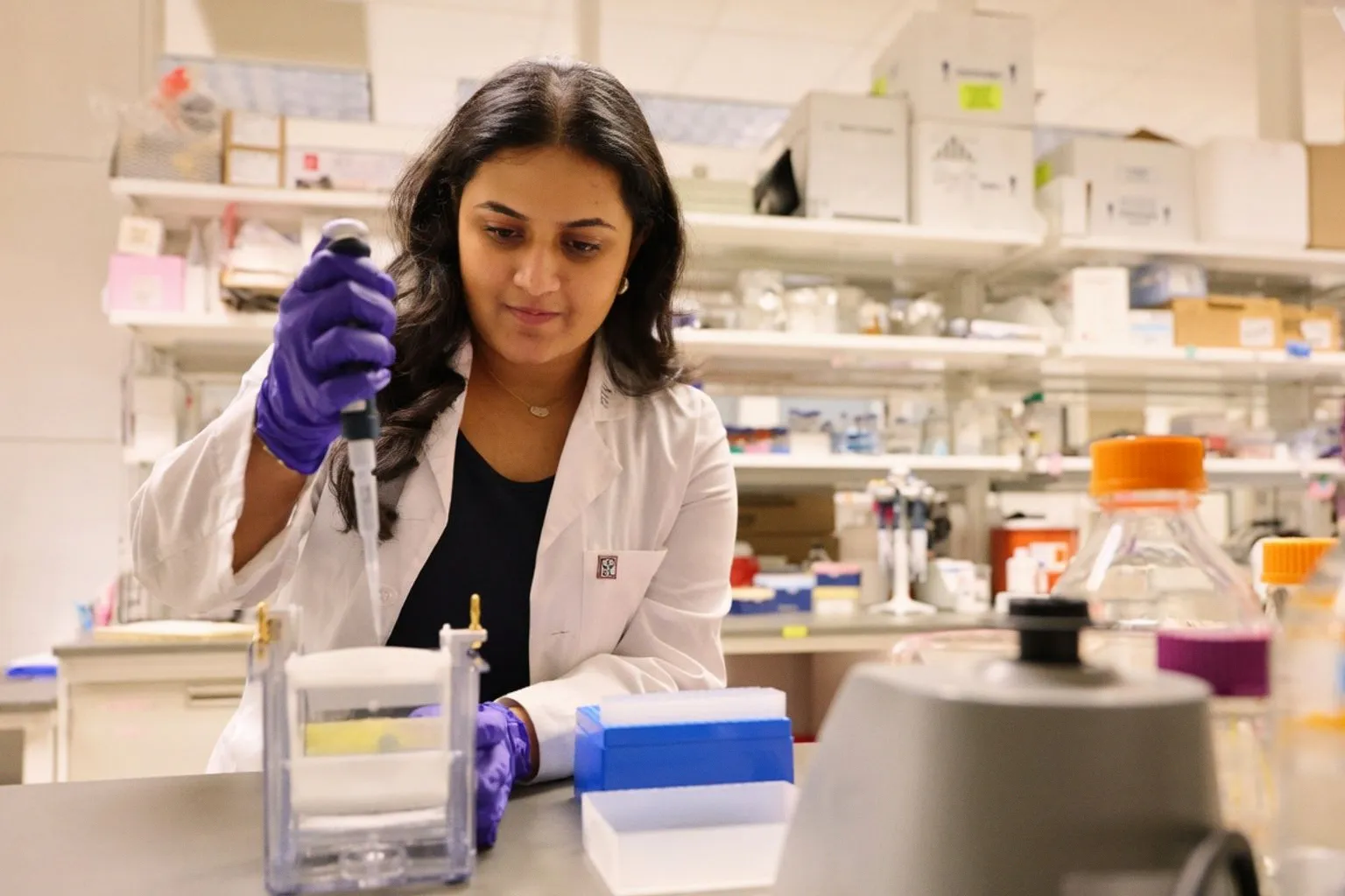 How Early Lab Exposure Accelerates Undergraduate Neuroscience Careers