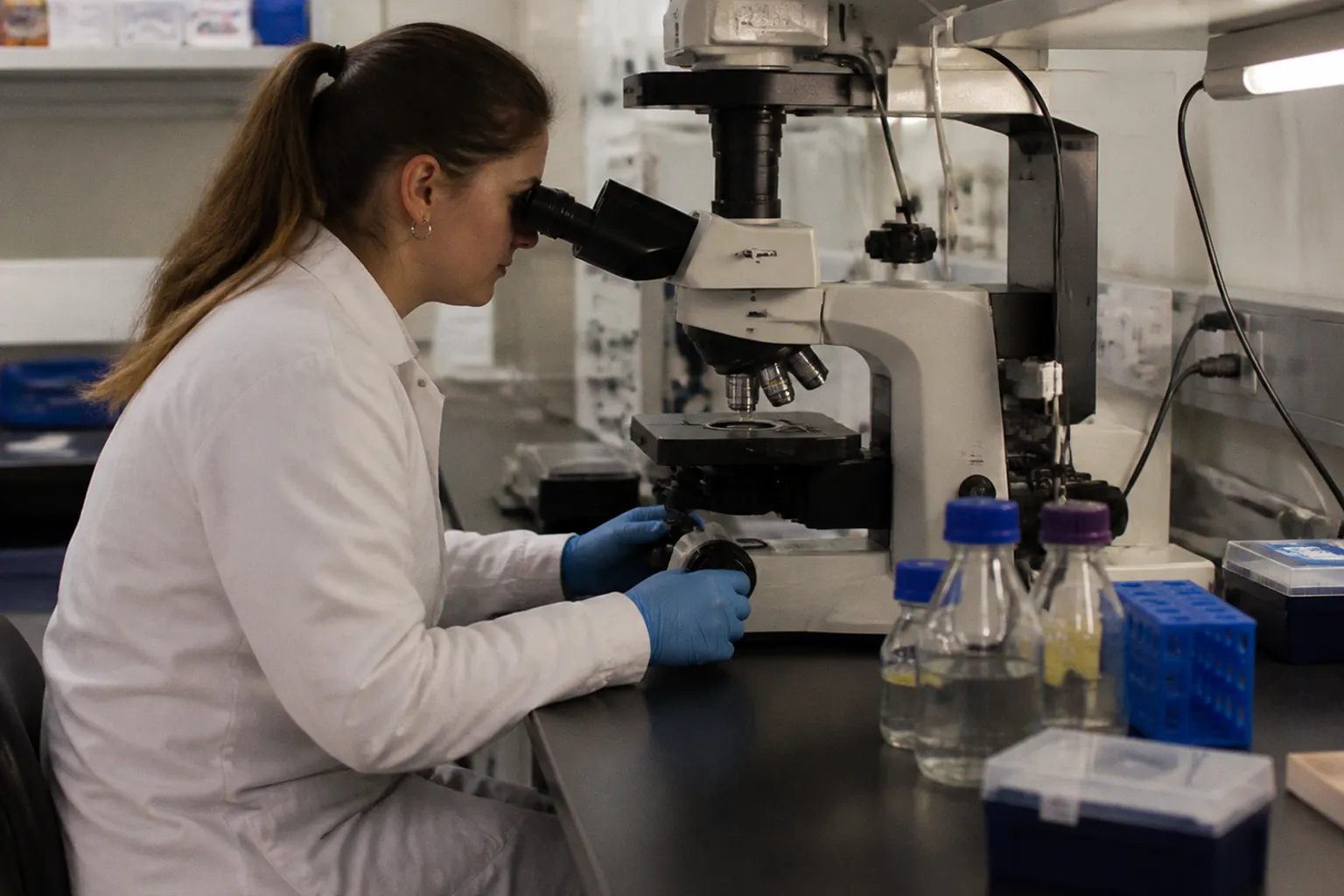 How Lysosomal Dysfunction Links Rare Childhood Dementia to Alzheimer’s Disease