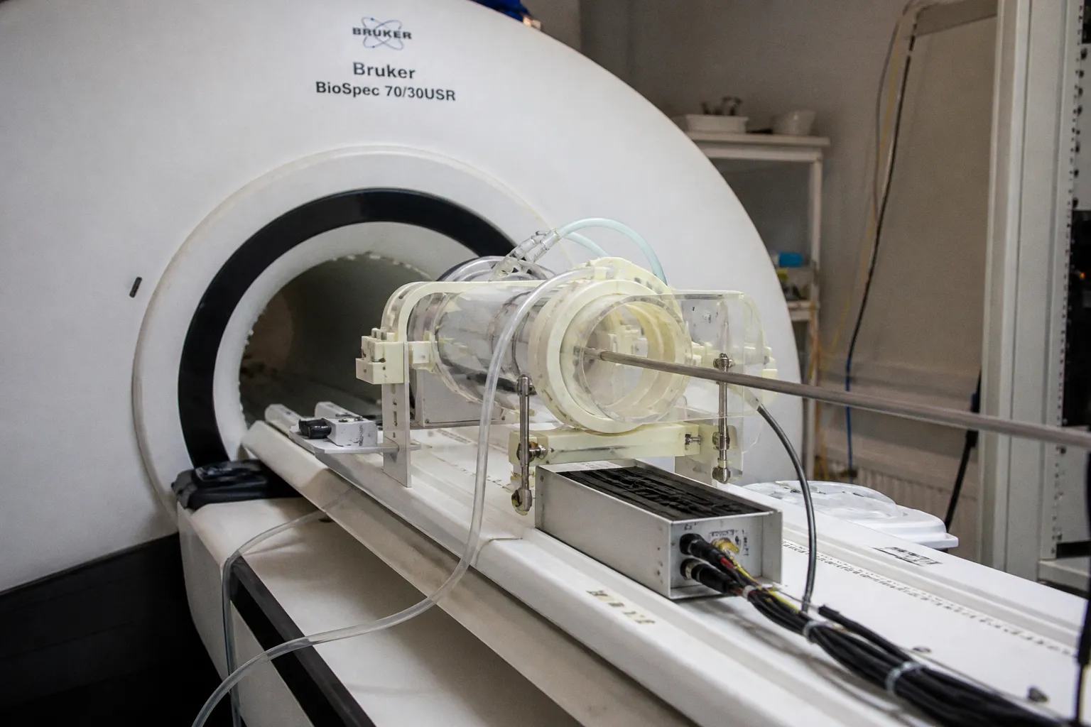 Mapping Mesoscale Brain Hubs That Drive High-Stakes Decision-Making