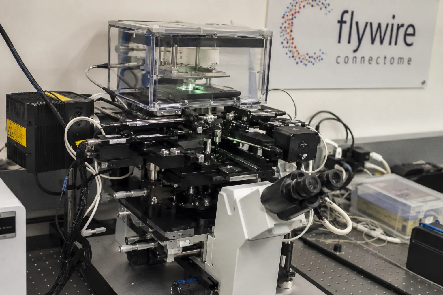 Mapping the Complete Neural Circuitry Behind Fruit Fly Feeding Decisions