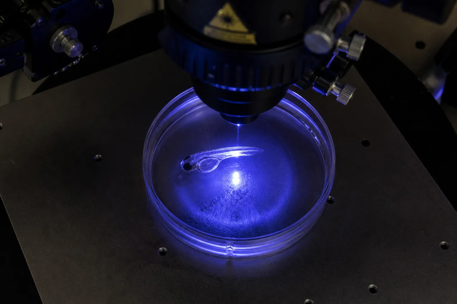 Neural network 3D printing: a four-stage exhibition workflow