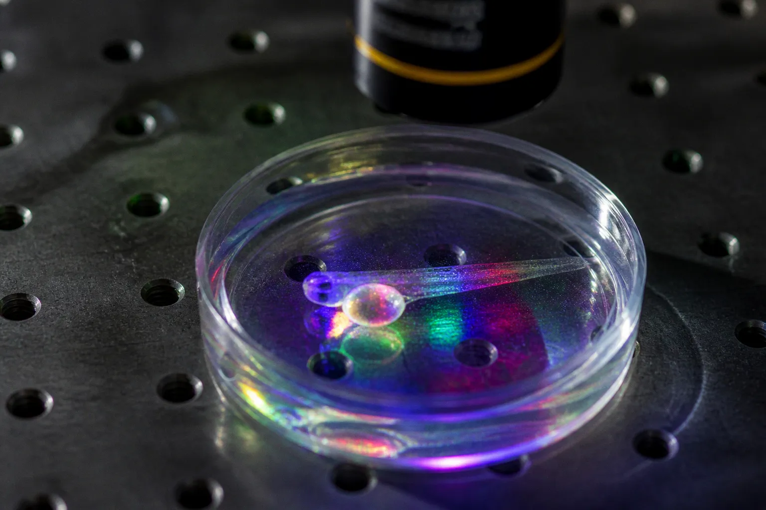 Neuroscience art: how interactive media shifts perception