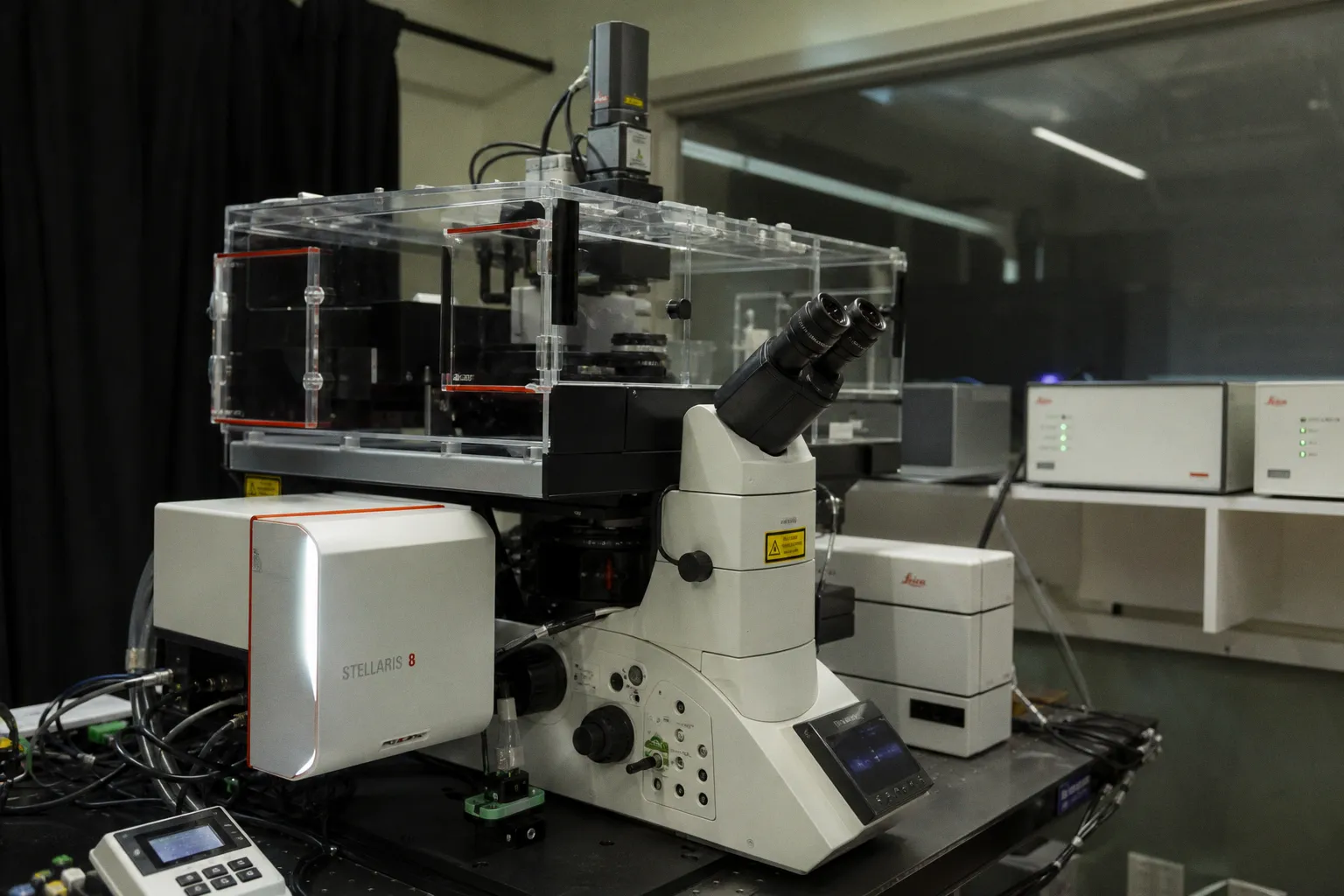 New High-Speed Microscopy Captures Real-Time Electrical Activity Across the Zebrafish Brain