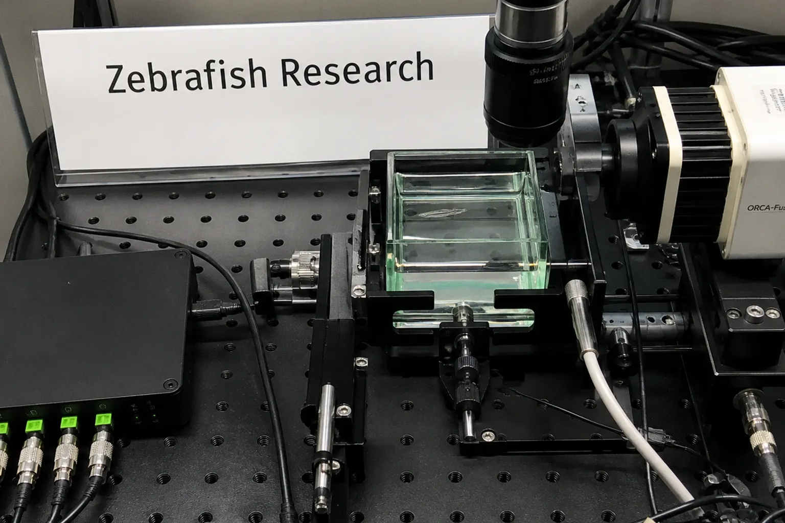 New Insights into VTA Dopamine Neurons Challenge Traditional Neural Circuit Models