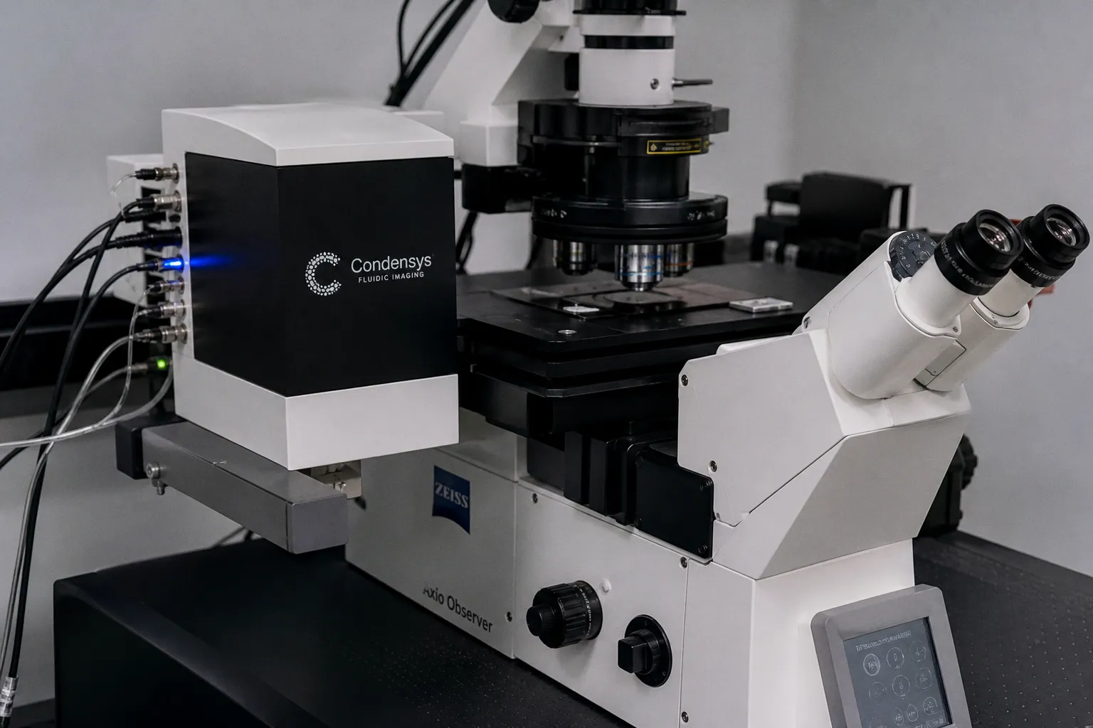 Yale Researchers Develop CondenScreen to Map Genetic Links to Neurodevelopmental Disorders